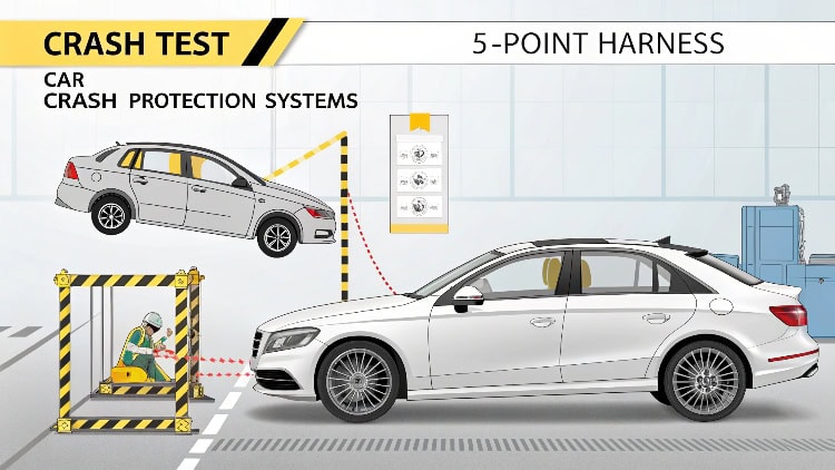 crash test dummies with harnesses